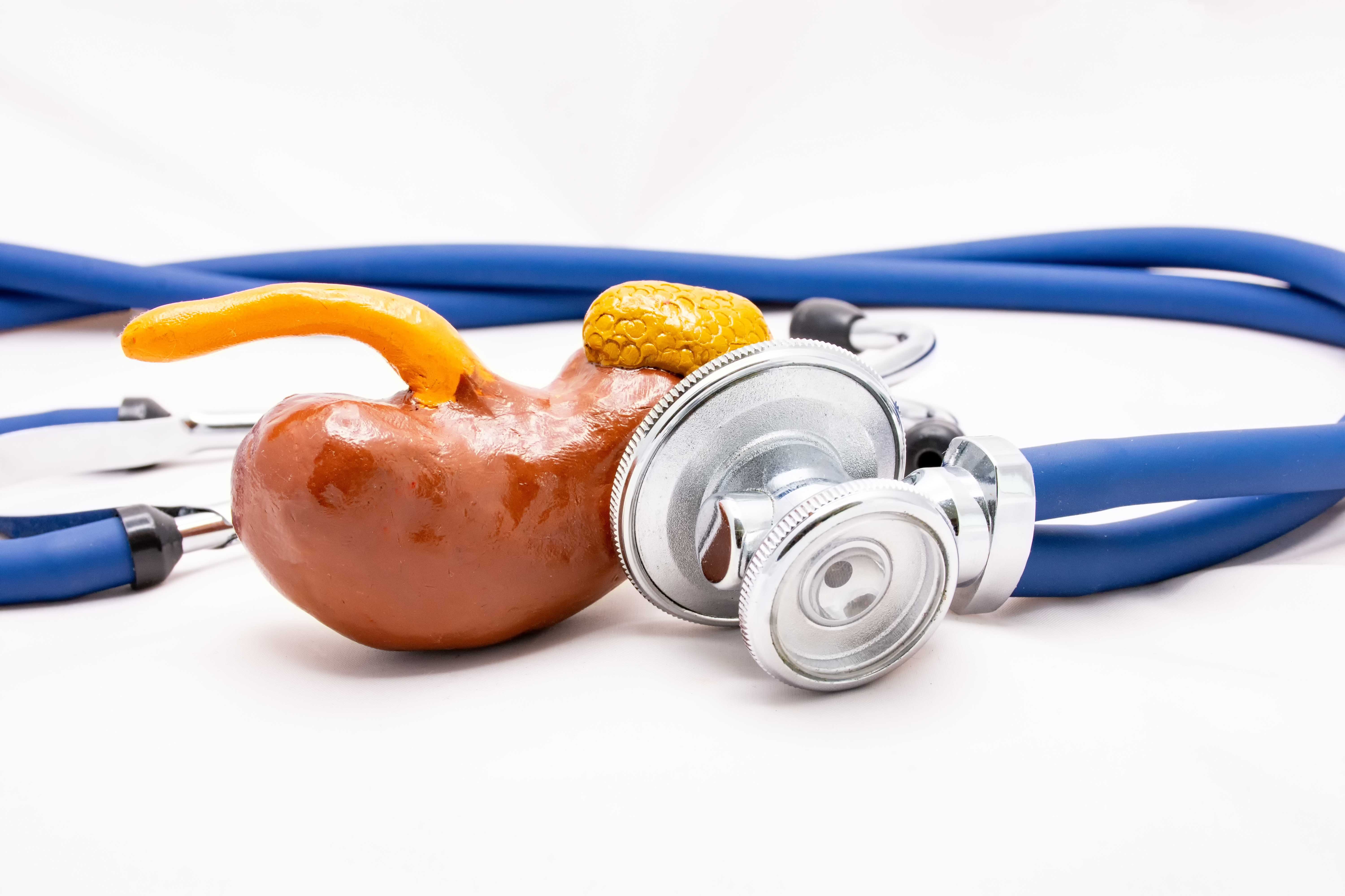 Interventional Nephrology1