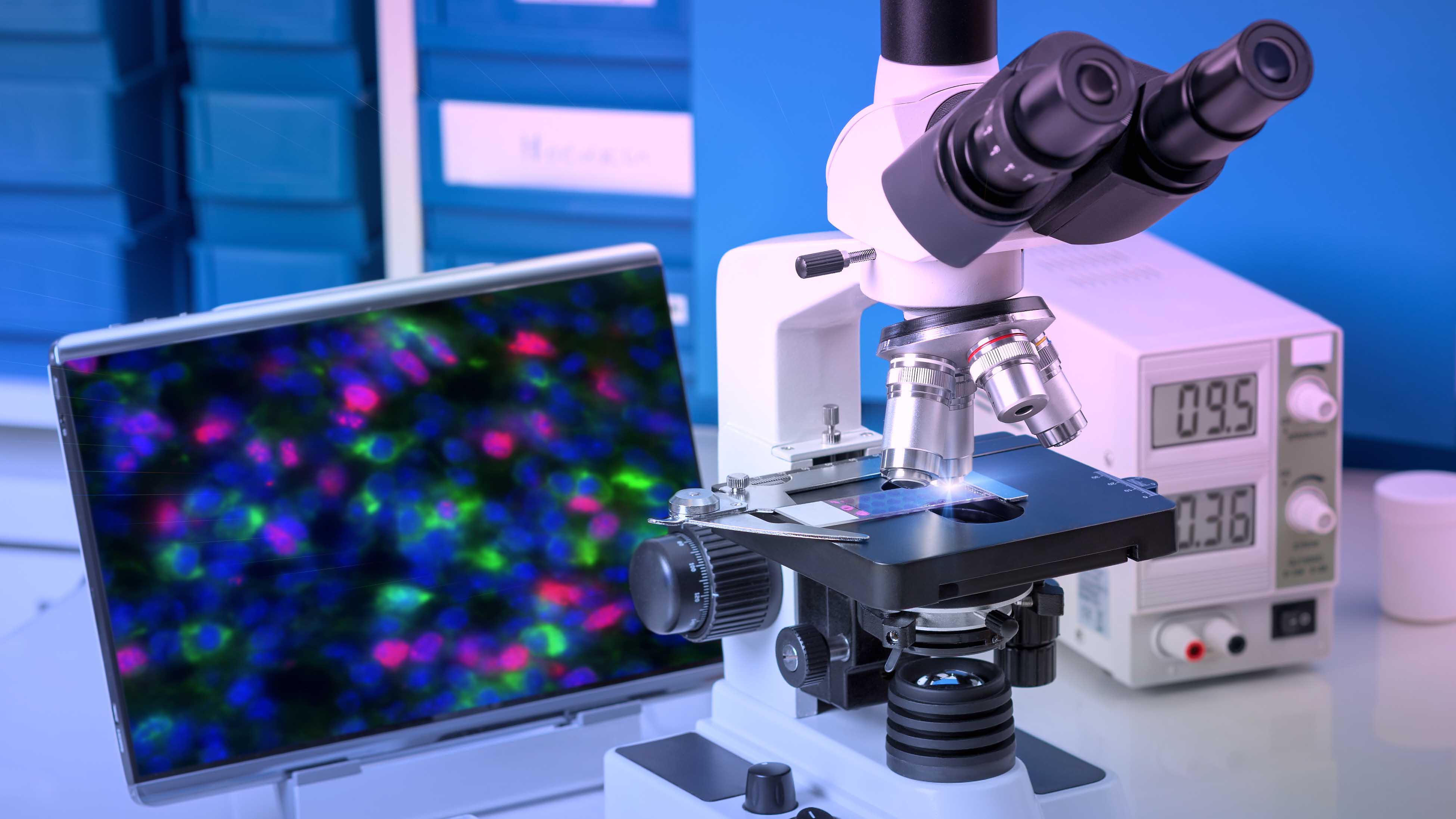 التصوير المجهري Confocal Microscopy1