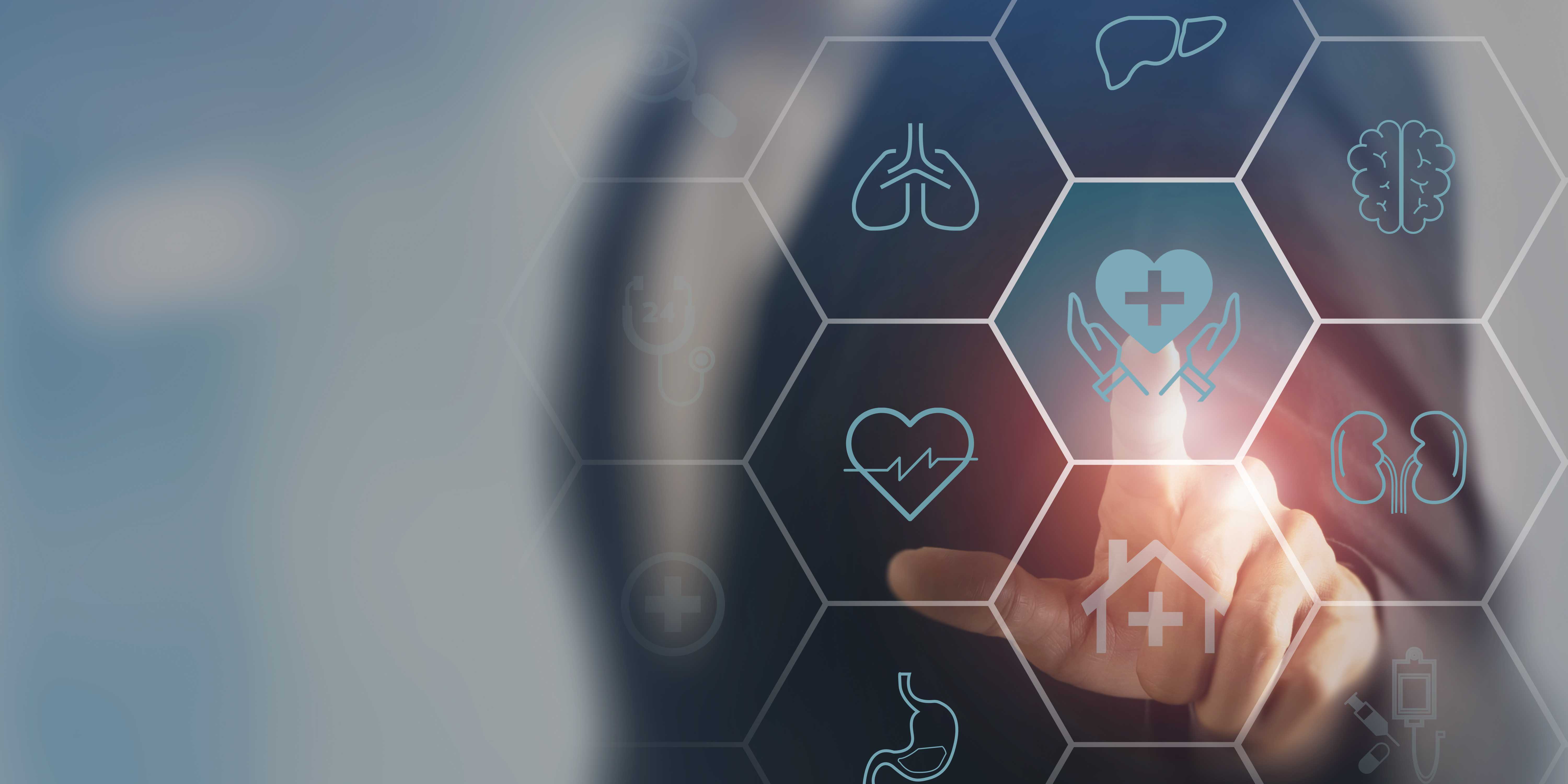 Nephropathology and Renal Transplant Pathology1