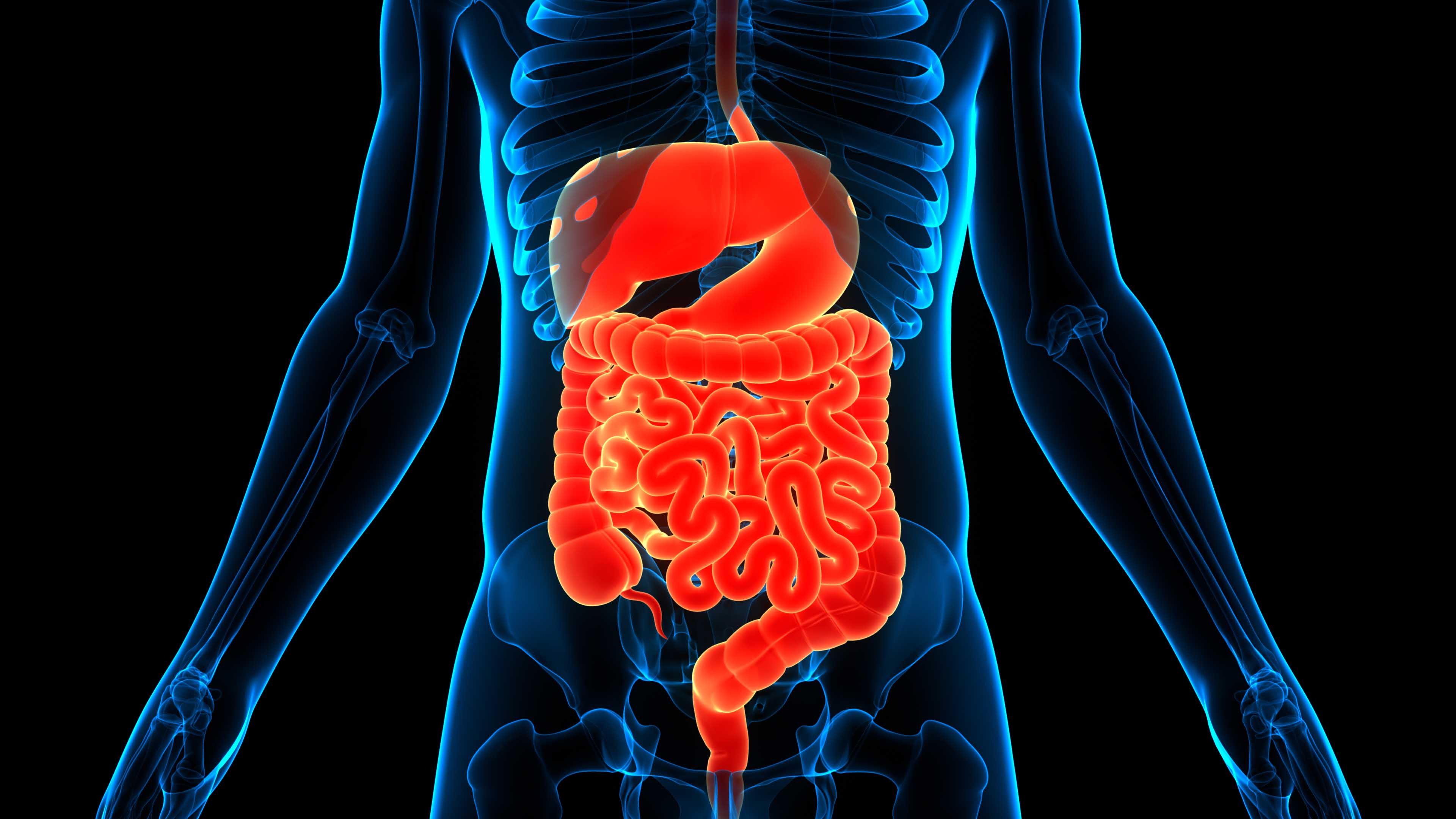 Intestinal Transplant 1