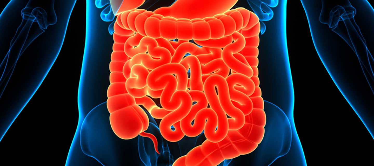 Intestinal Transplant 1