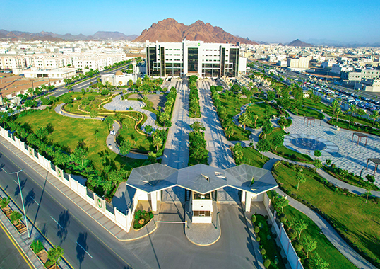 Contact Us - Madinah 2