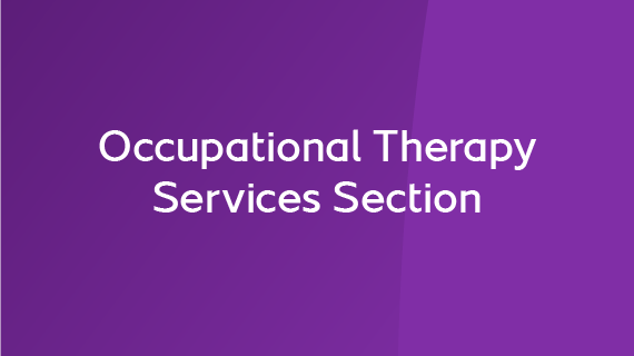 Occupational Therapy Services Section-01-02