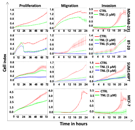 Figure01 - ANTI-AUF1 Inhibitory Molecules for Precision Therapy