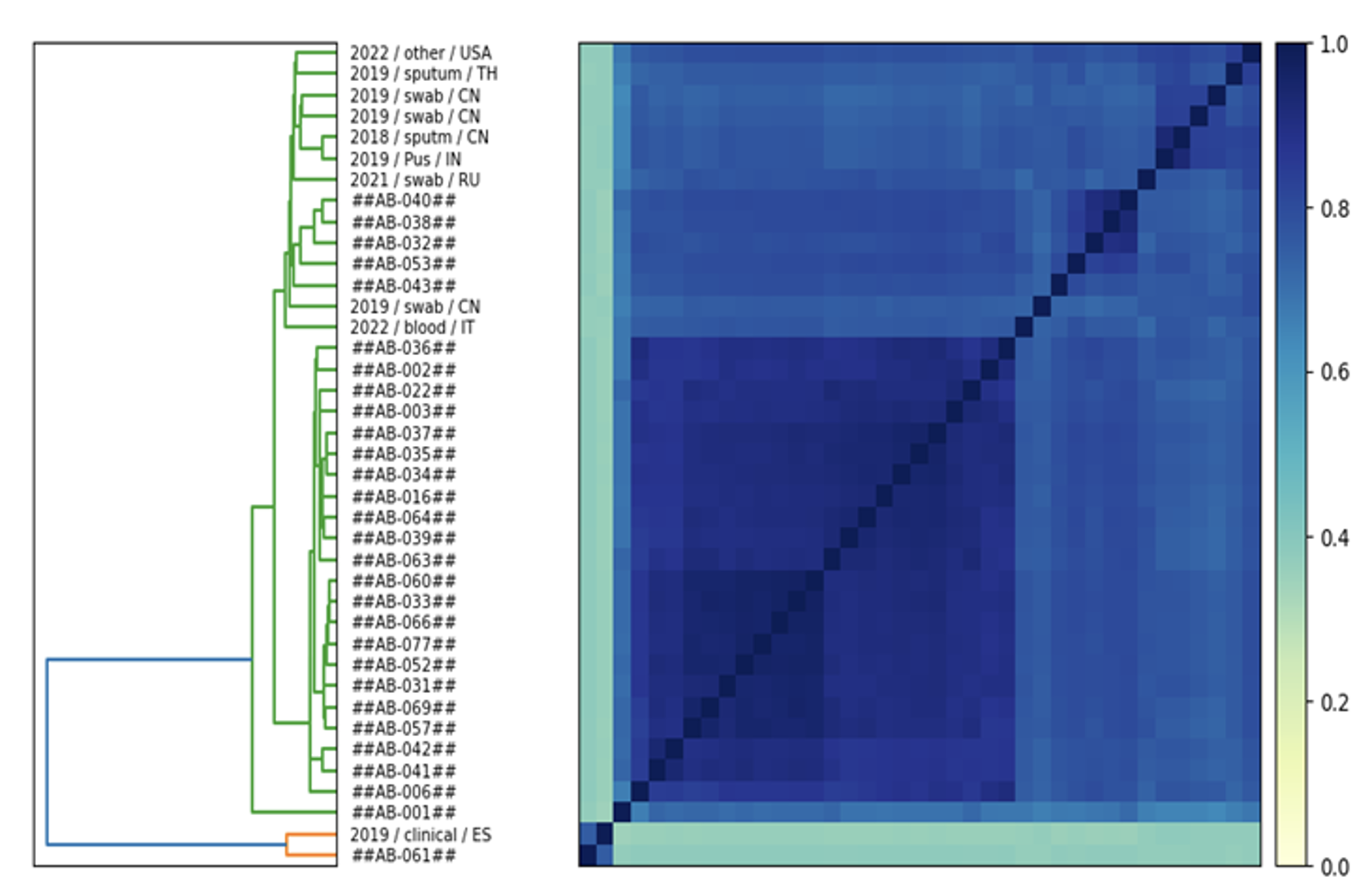 Figure01 Molecular characterization of antimicrobial resistance clinical isolates using whole genome
