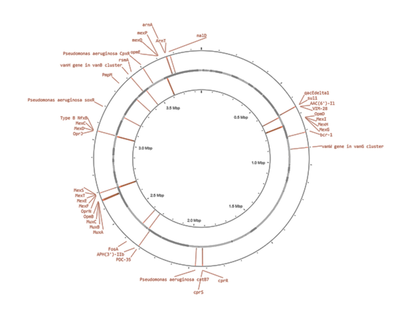 Figure02 Molecular characterization of antimicrobial resistance clinical isolates using whole genome