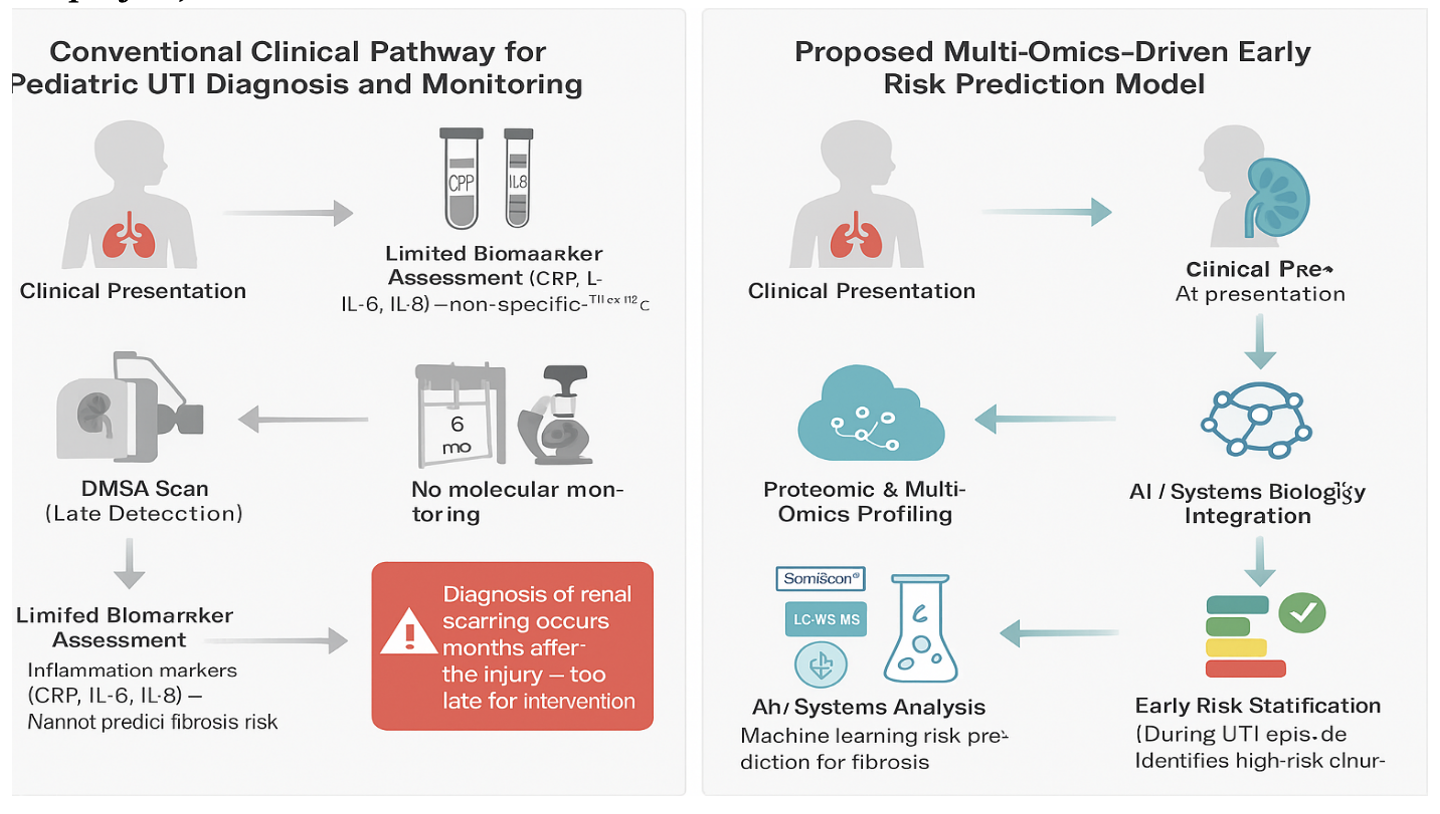 Figure01 New Tools for the Assessment of Renal Damage Related to Pyelonephritis in Pediatric Patient