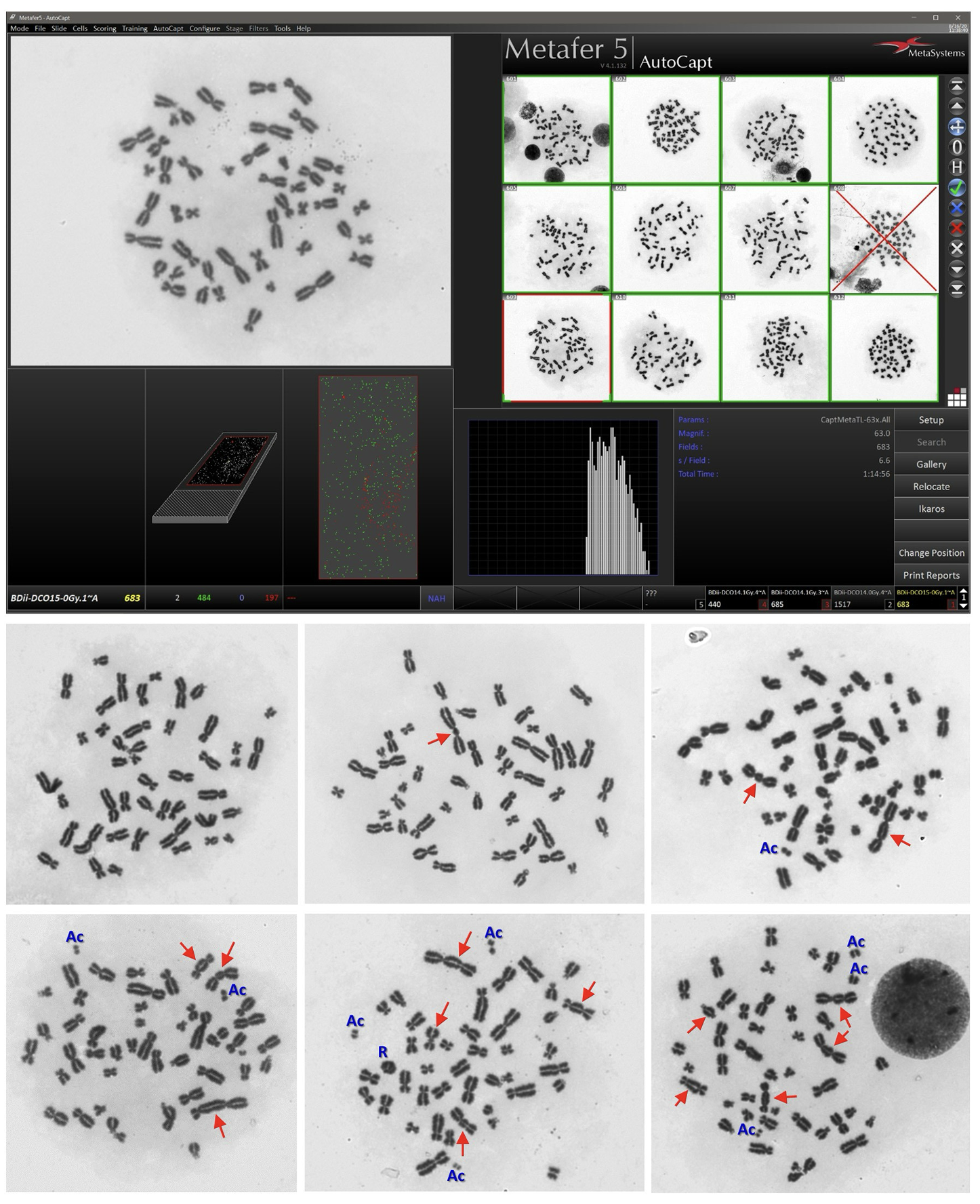 Figure01 Expand the National Biodosimetry Laboratory Capabilities using Micronuclei and GammaH2AX Fo