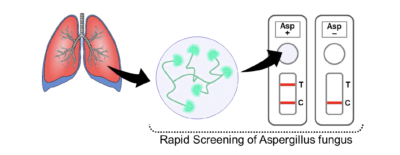 Screenshot 1447-02-27 at 100231 AM