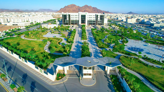 Contact Us - Madinah 2 - P