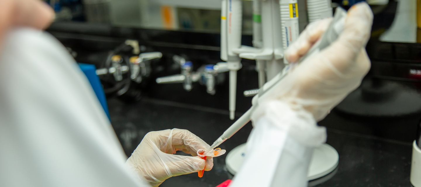 Molecular Oncology 2